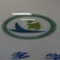 company_logo